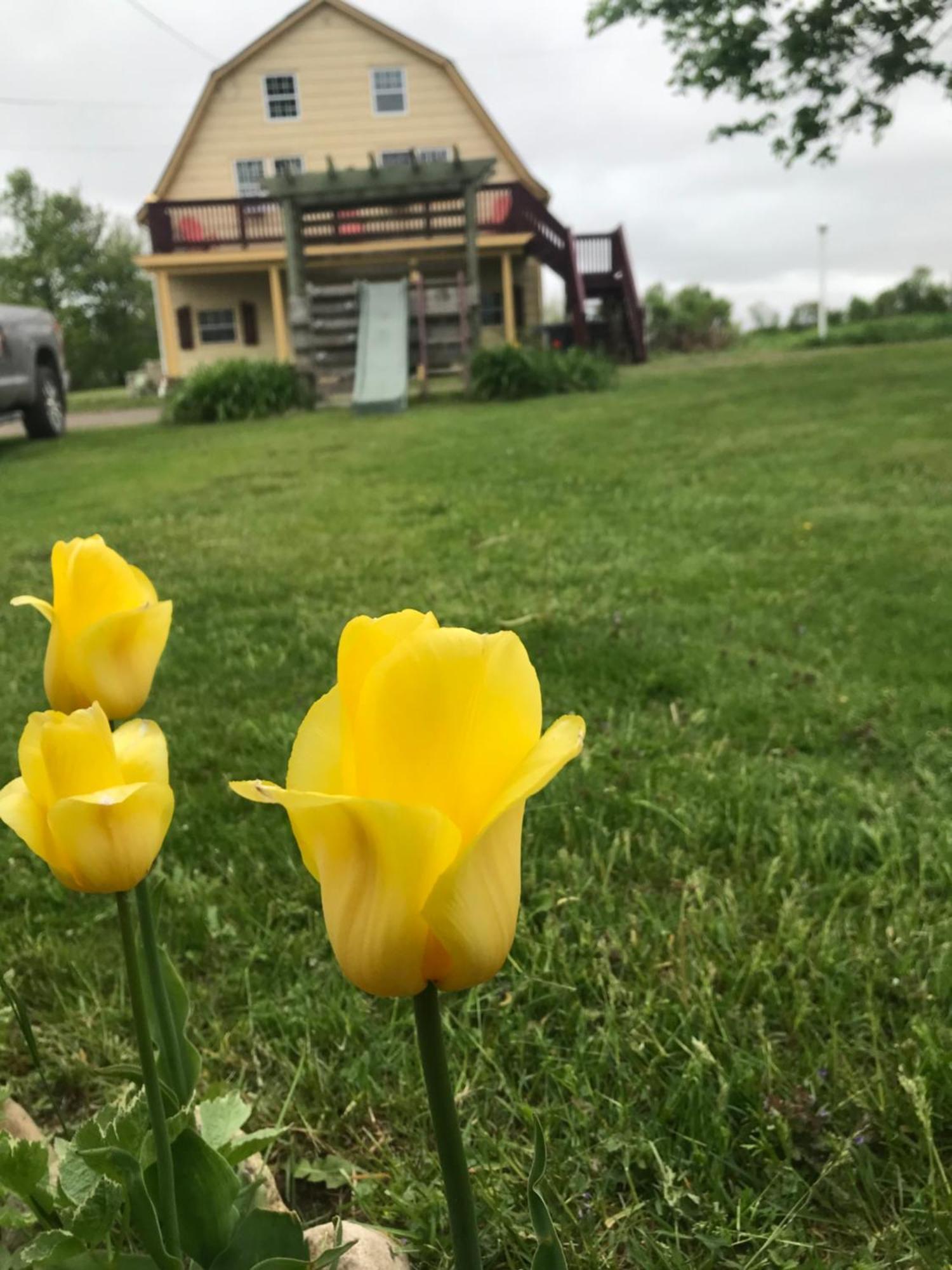 A Country Home Inn The City 夏洛特敦 外观 照片